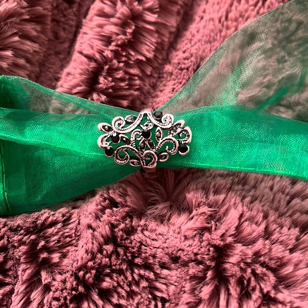 NWT Silver and Black Gemstone Ring